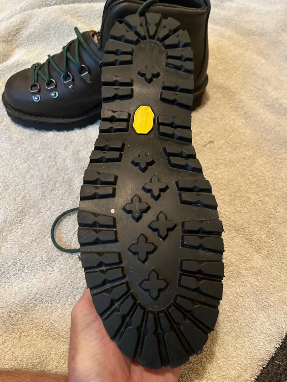 Danner durable brown
